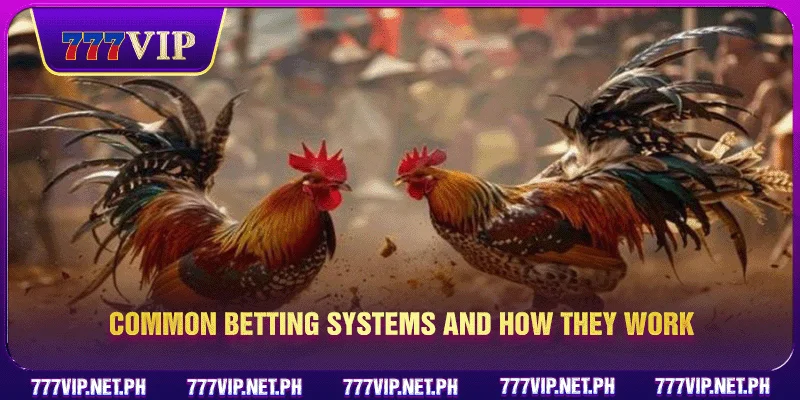 Common betting systems and how they work