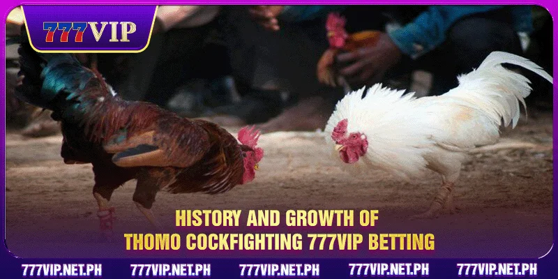 History and growth of Thomo cockfighting 777VIP betting