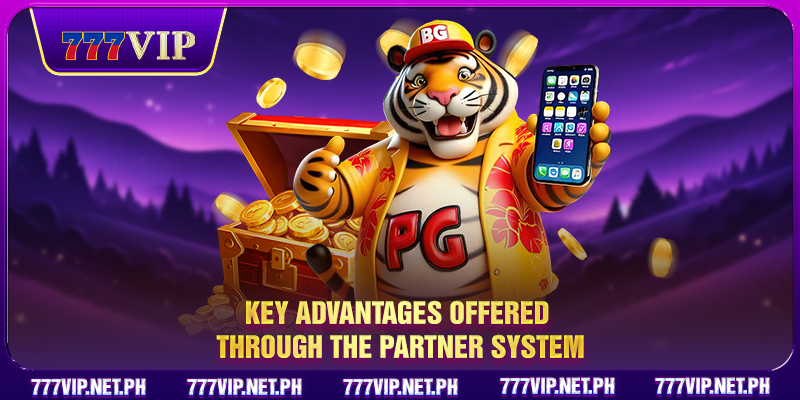 Key advantages offered through the partner system