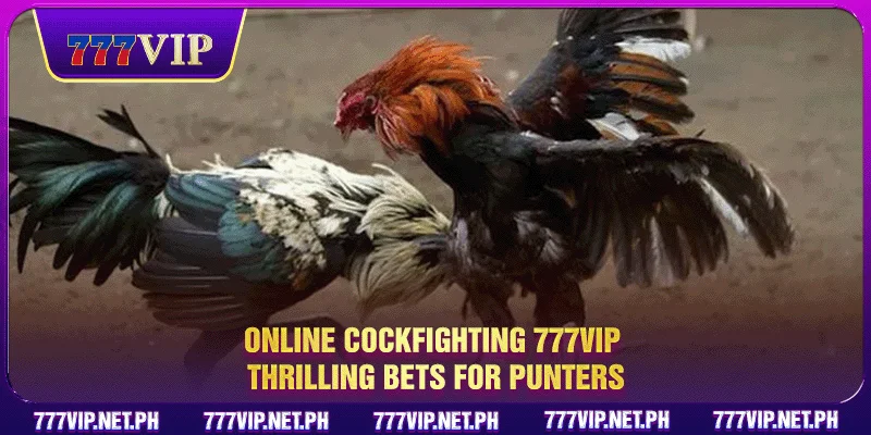 Online Cockfighting 777VIP