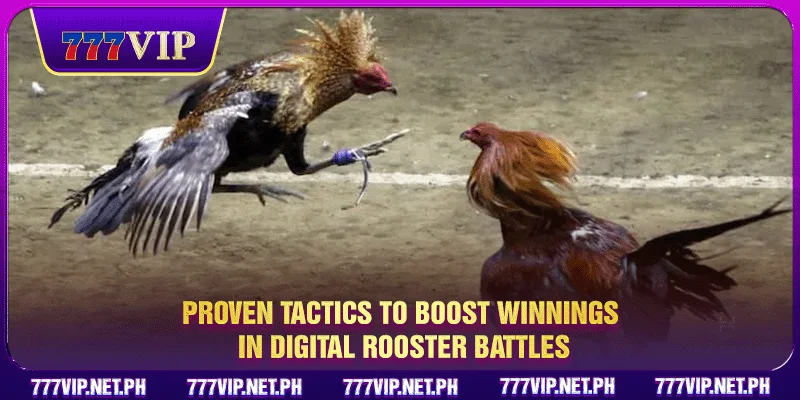 Proven tactics to boost winnings in digital rooster battles