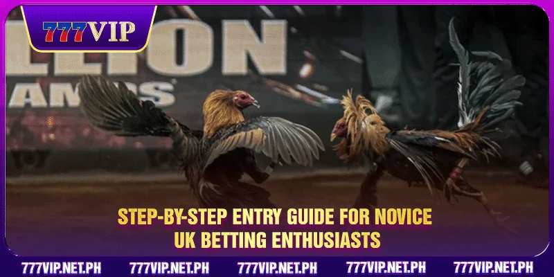 Step-by-step entry guide for novice UK betting enthusiasts