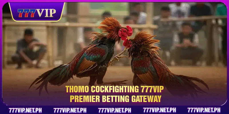 Thomo Cockfighting 777VIP