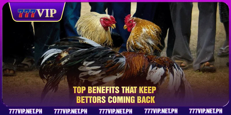 Top benefits that keep bettors coming back