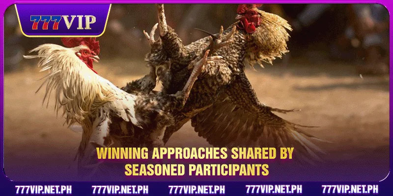 Winning approaches shared by seasoned participants